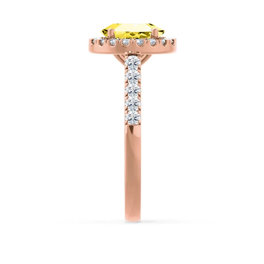 ROSA - Chatham® Yellow Sapphire & Diamond 18K Rose Gold Halo